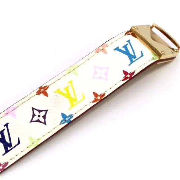 Louis Vuitton Multi Color Leather Goldtone Hardware - Picture 2 of 12